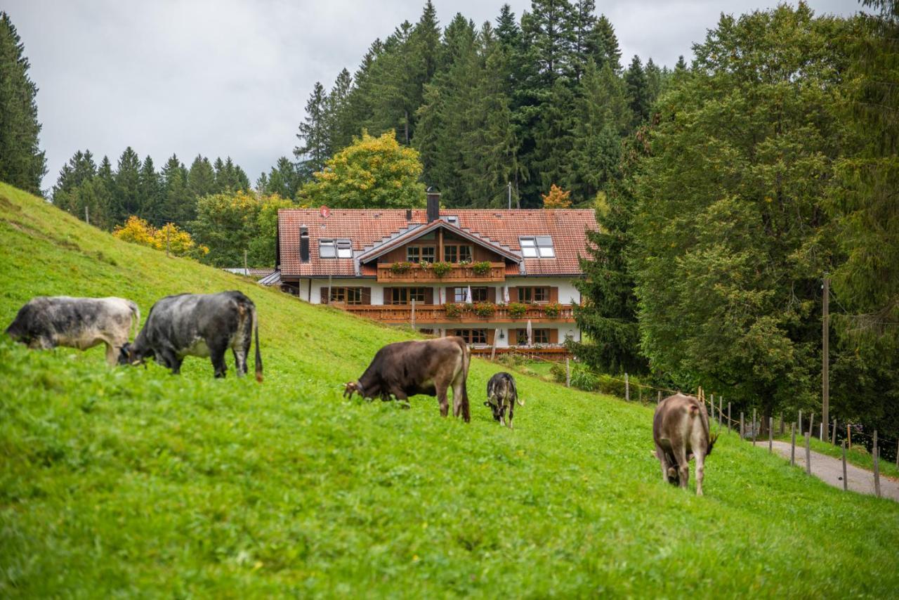 Apartment Chalet Rubihorn Mit Berg-Blick ボルシュターラング エクステリア 写真